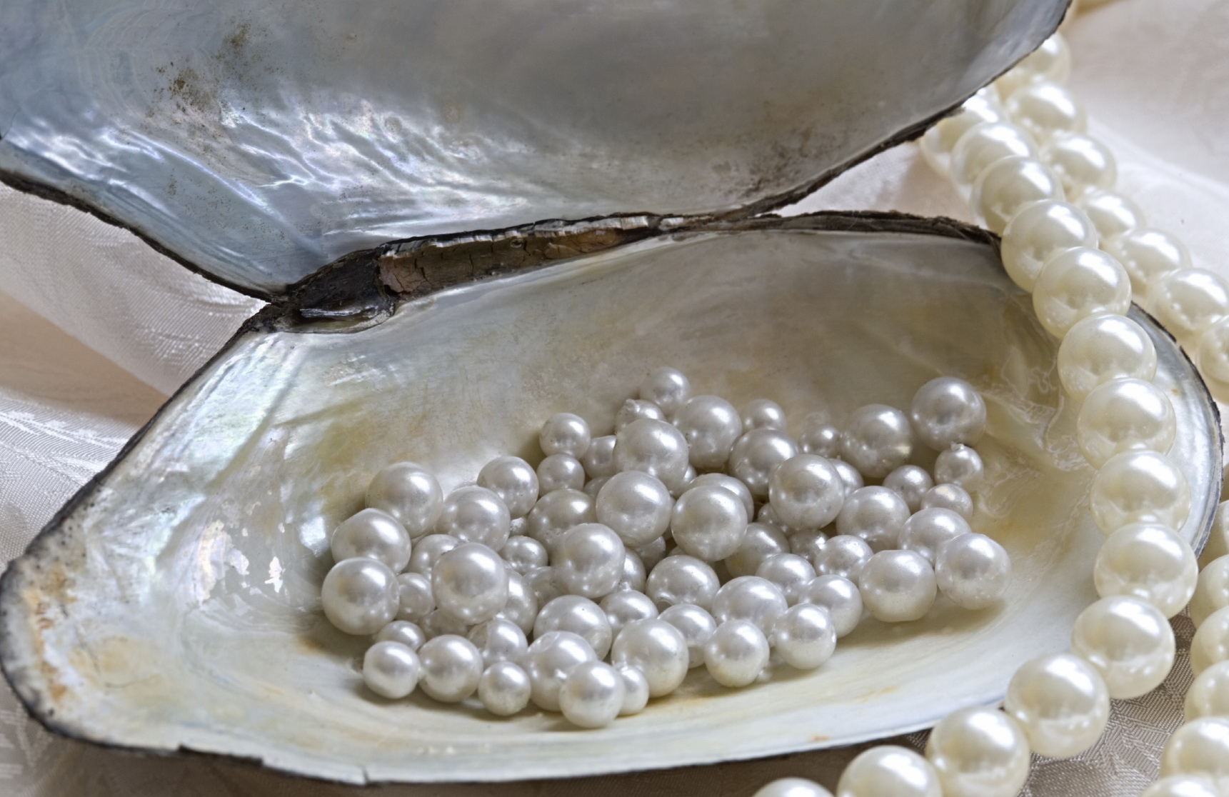 oyster and pearls
