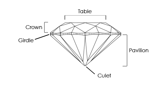 diamond anatomy diagram